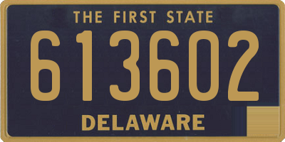 DE license plate 613602