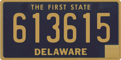 DE license plate 613615