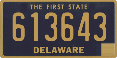 DE license plate 613643