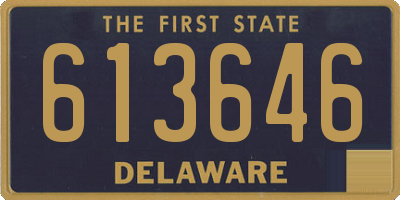 DE license plate 613646