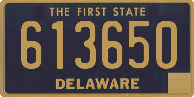 DE license plate 613650