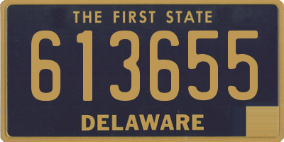DE license plate 613655