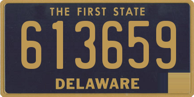 DE license plate 613659