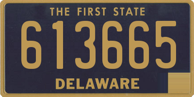 DE license plate 613665