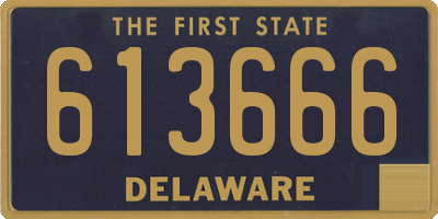 DE license plate 613666