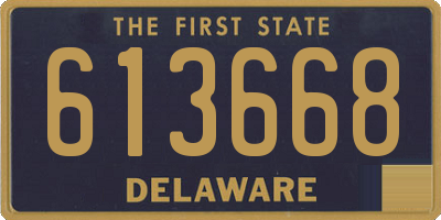 DE license plate 613668