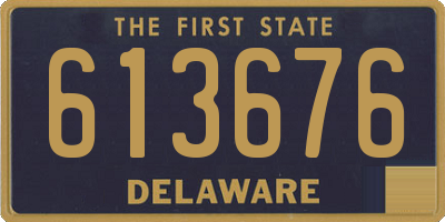 DE license plate 613676