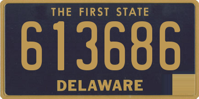 DE license plate 613686