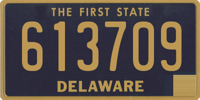 DE license plate 613709