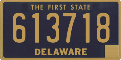 DE license plate 613718