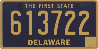 DE license plate 613722