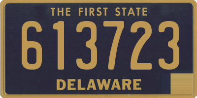 DE license plate 613723