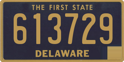 DE license plate 613729