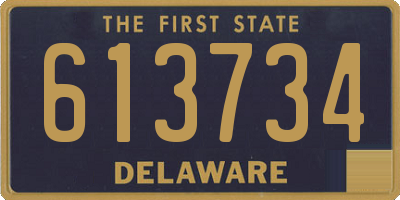 DE license plate 613734