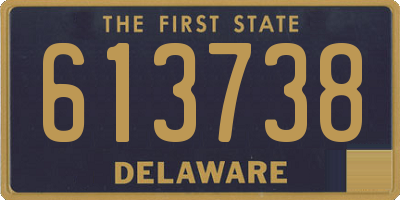 DE license plate 613738