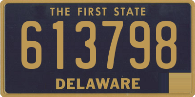 DE license plate 613798