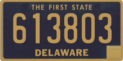 DE license plate 613803