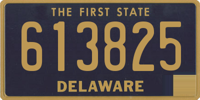 DE license plate 613825