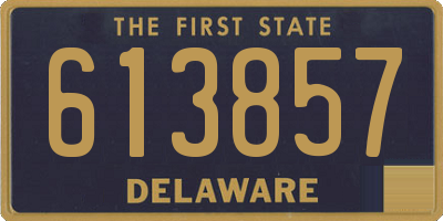 DE license plate 613857