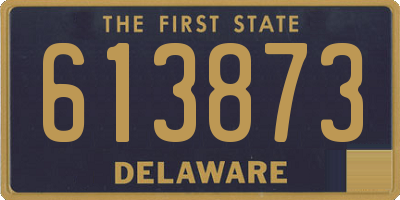 DE license plate 613873