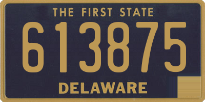 DE license plate 613875