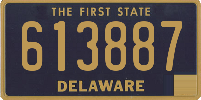 DE license plate 613887