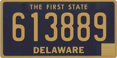 DE license plate 613889