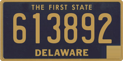 DE license plate 613892