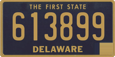 DE license plate 613899