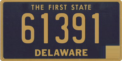 DE license plate 61391