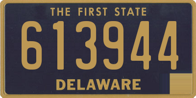 DE license plate 613944