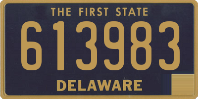 DE license plate 613983
