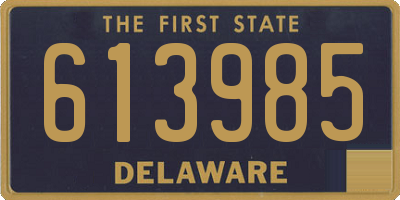 DE license plate 613985
