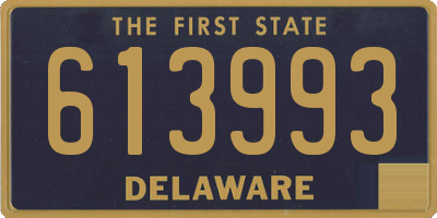 DE license plate 613993
