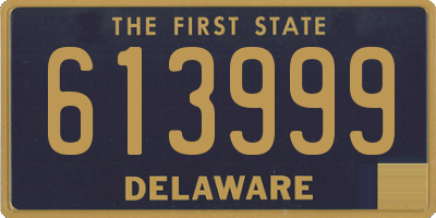 DE license plate 613999