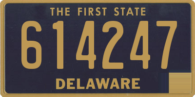 DE license plate 614247
