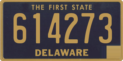 DE license plate 614273