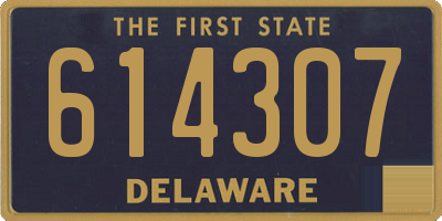 DE license plate 614307