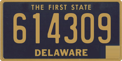 DE license plate 614309