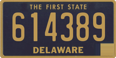 DE license plate 614389