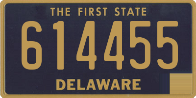 DE license plate 614455