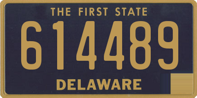 DE license plate 614489