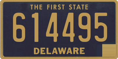 DE license plate 614495