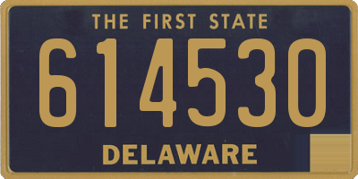 DE license plate 614530