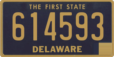 DE license plate 614593
