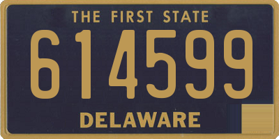 DE license plate 614599