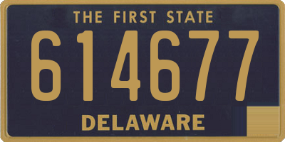 DE license plate 614677