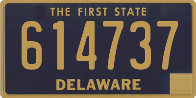 DE license plate 614737