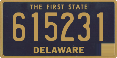 DE license plate 615231