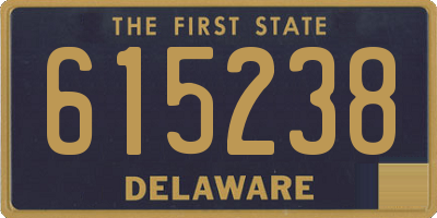 DE license plate 615238